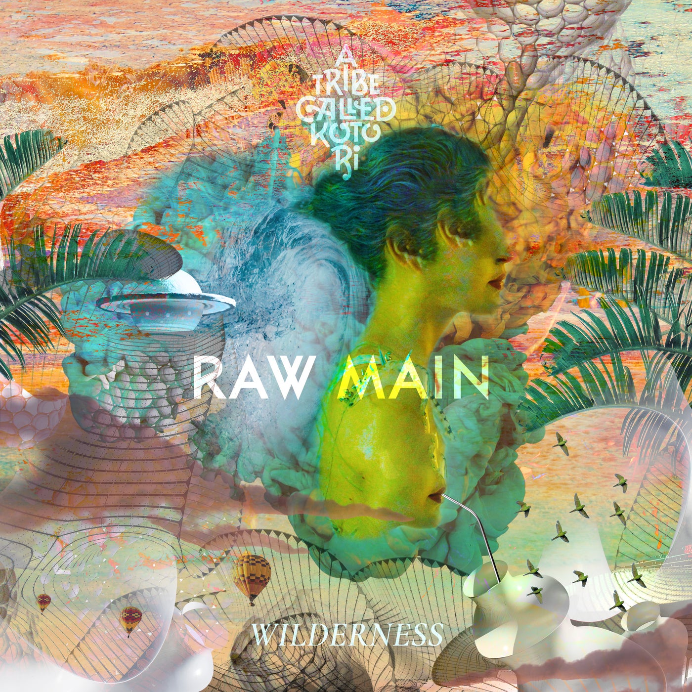 Raw Main – Wilderness [ATCK014]
